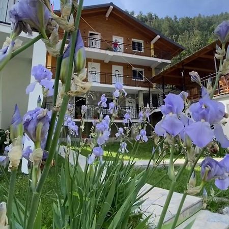Bed and Breakfast Bujtina Brahim Selimaj Valbone Exterior foto