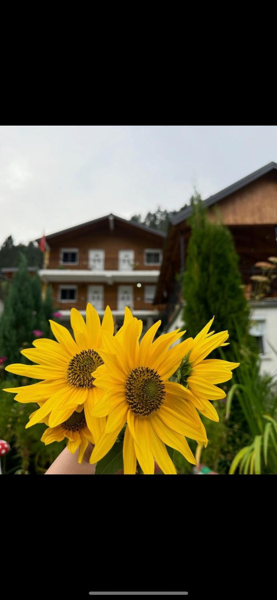 Bed and Breakfast Bujtina Brahim Selimaj Valbone Exterior foto